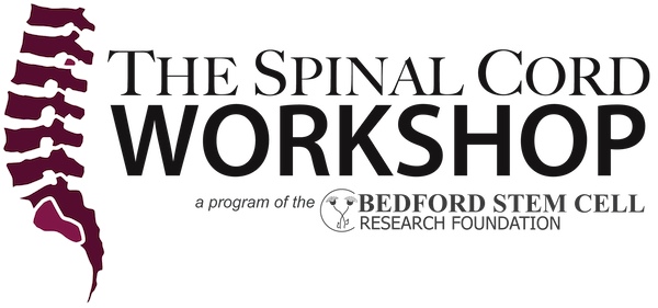 spinal cord workshop